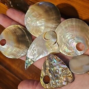 Mother of Pearl Pendant Lot - Natural Abalone